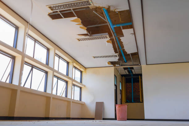 Best Professional water damage repair  in Messiah College, PA