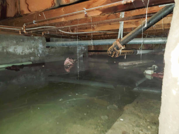 Best Water damage restoration services  in Messiah College, PA