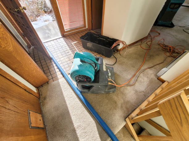 Best Water damage restoration near me  in Messiah College, PA