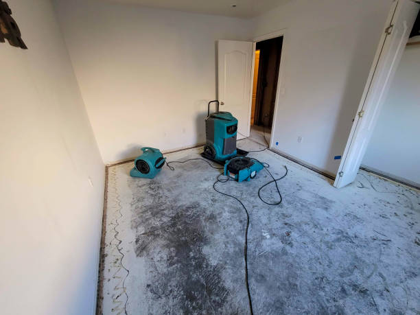 Best Water damage restoration company  in Messiah College, PA