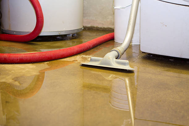 Best Water damage cleanup near me  in Messiah College, PA