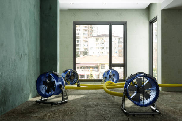 Best 24-hour water damage restoration  in Messiah College, PA