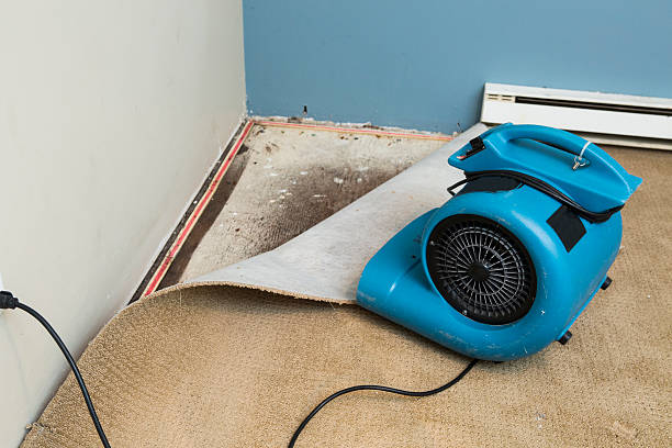 Best Flooded house restoration  in Messiah College, PA